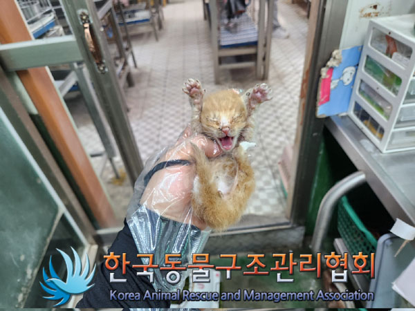 한국동물구조관리협회_411323202300447
