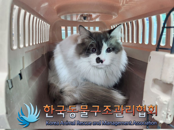 한국동물구조관리협회_411304202300338