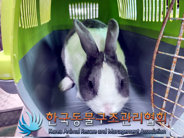 한국동물구조관리협회_411301202300295