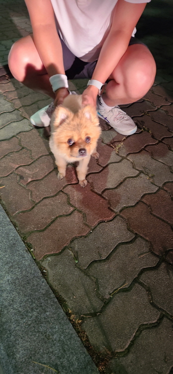 익산유기동물보호소_445468202301083