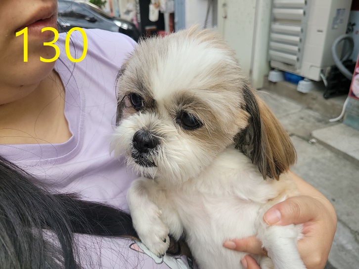 신영재동물병원_428355202300222