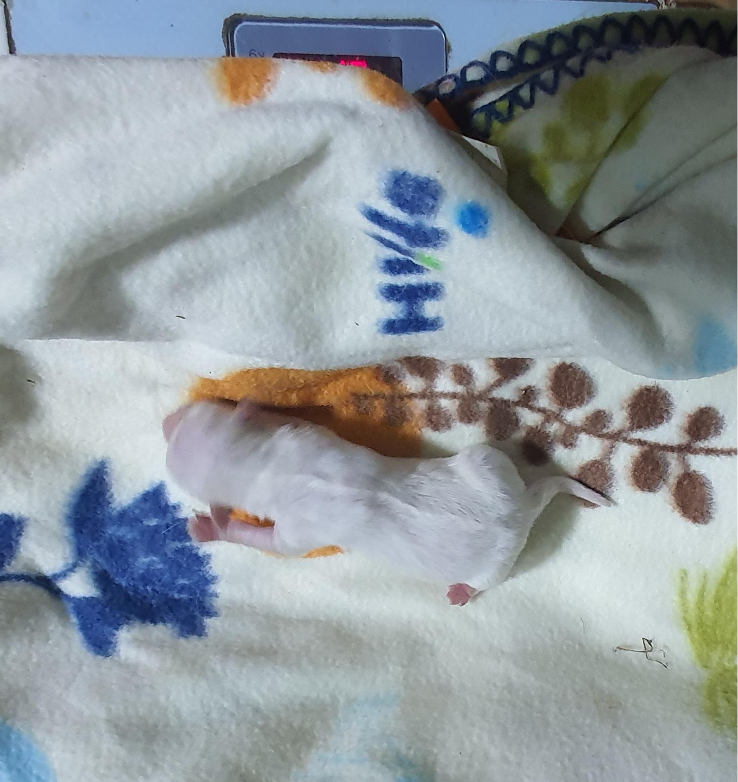 김천시 동물보호센터_447506202300144