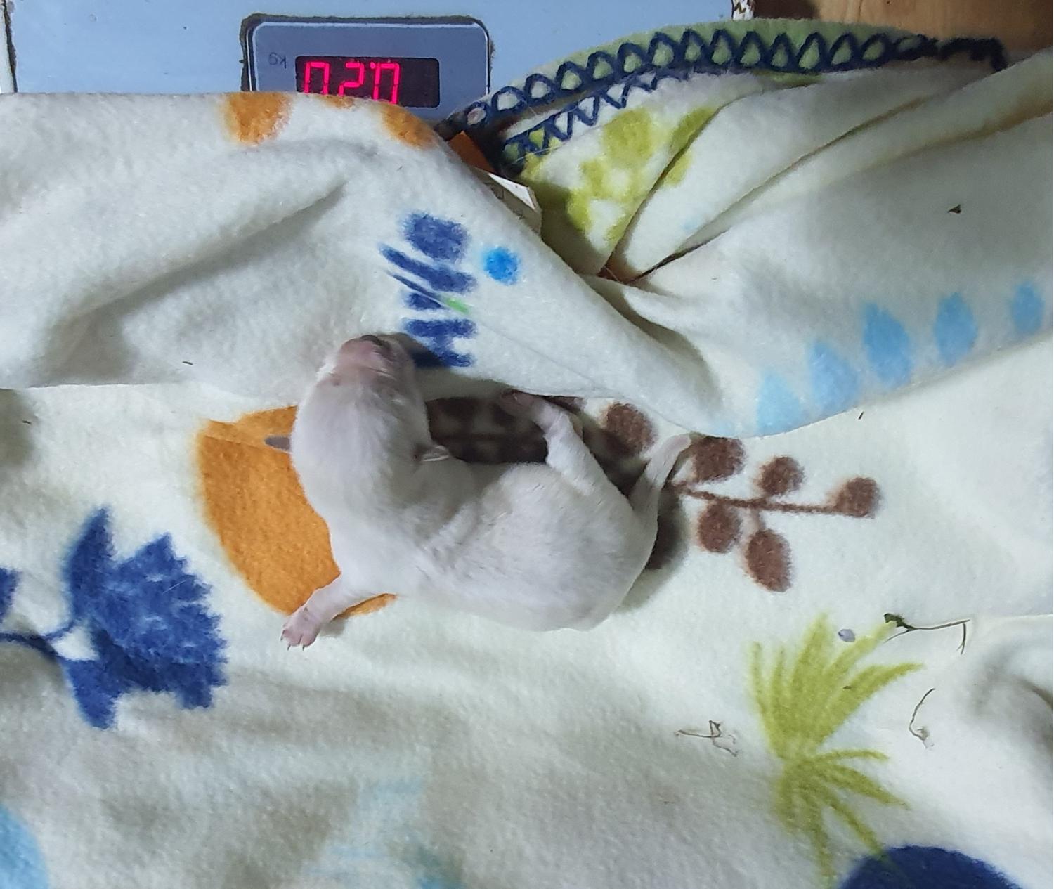 김천시 동물보호센터_447506202300145