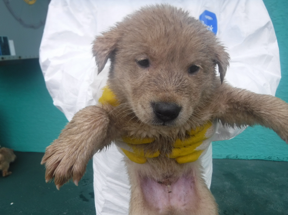 제주 동물보호센터_450650202301675