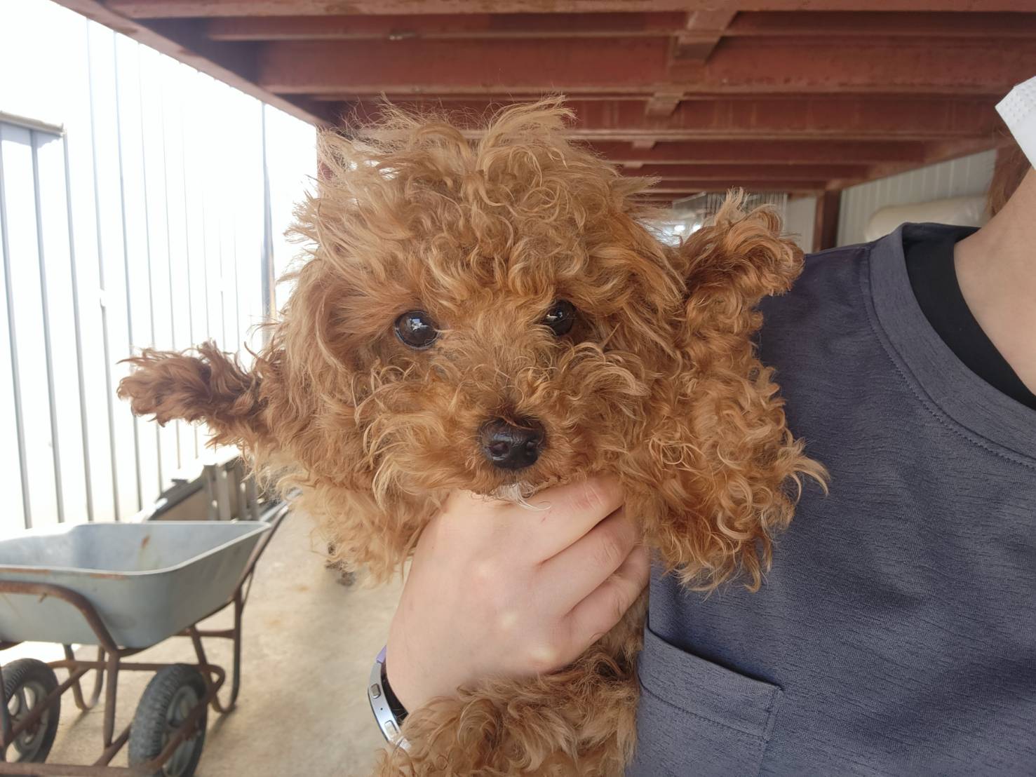 한국야생동물보호협회_441390202300187