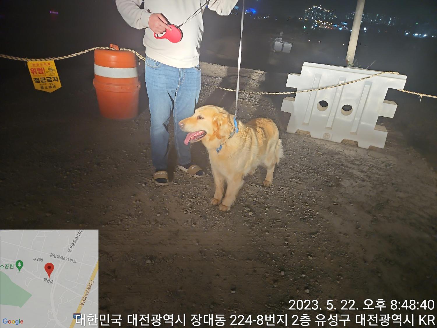 대전동물보호센터_430367202300312