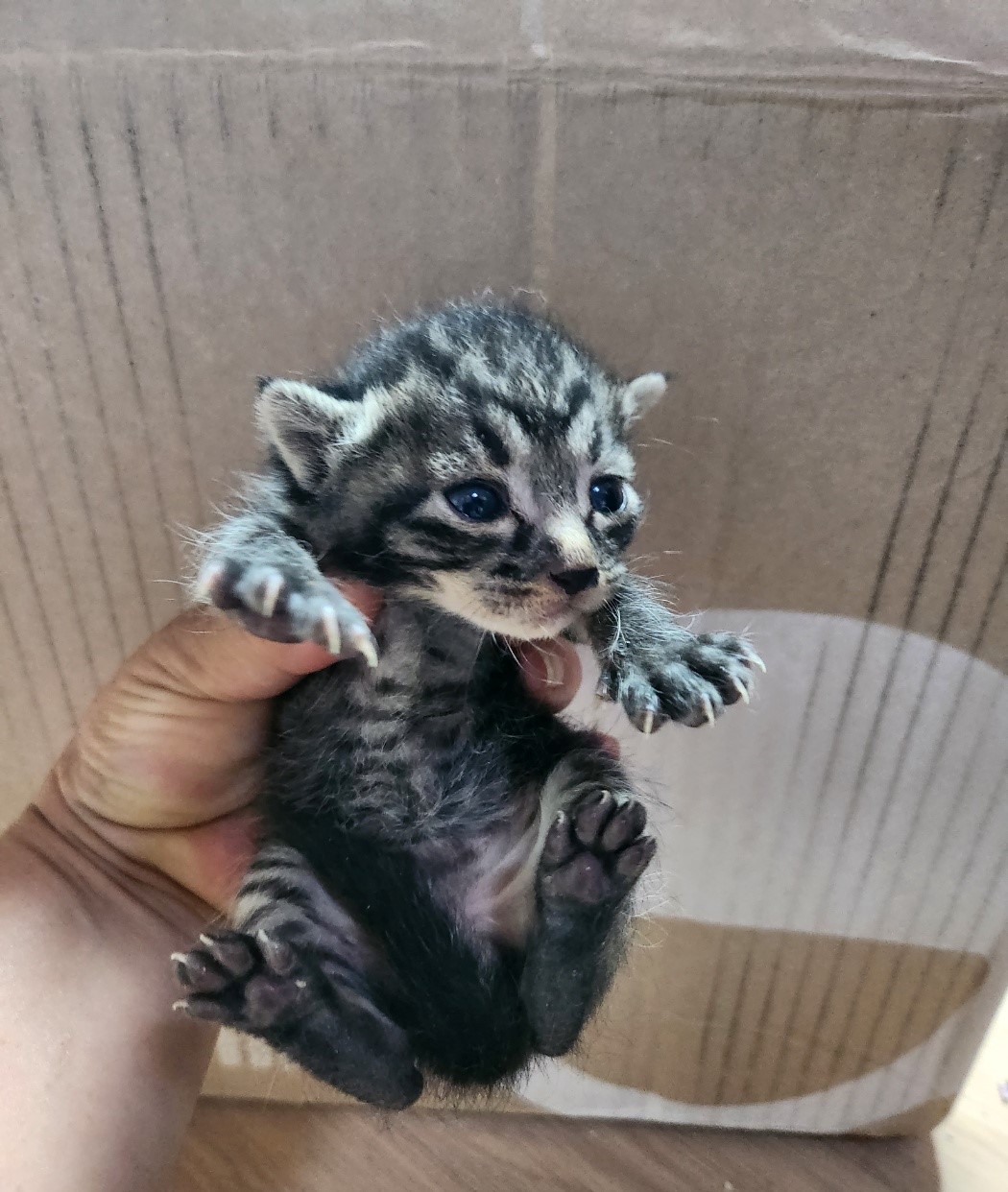 울산유기동물보호센터_431372202300222