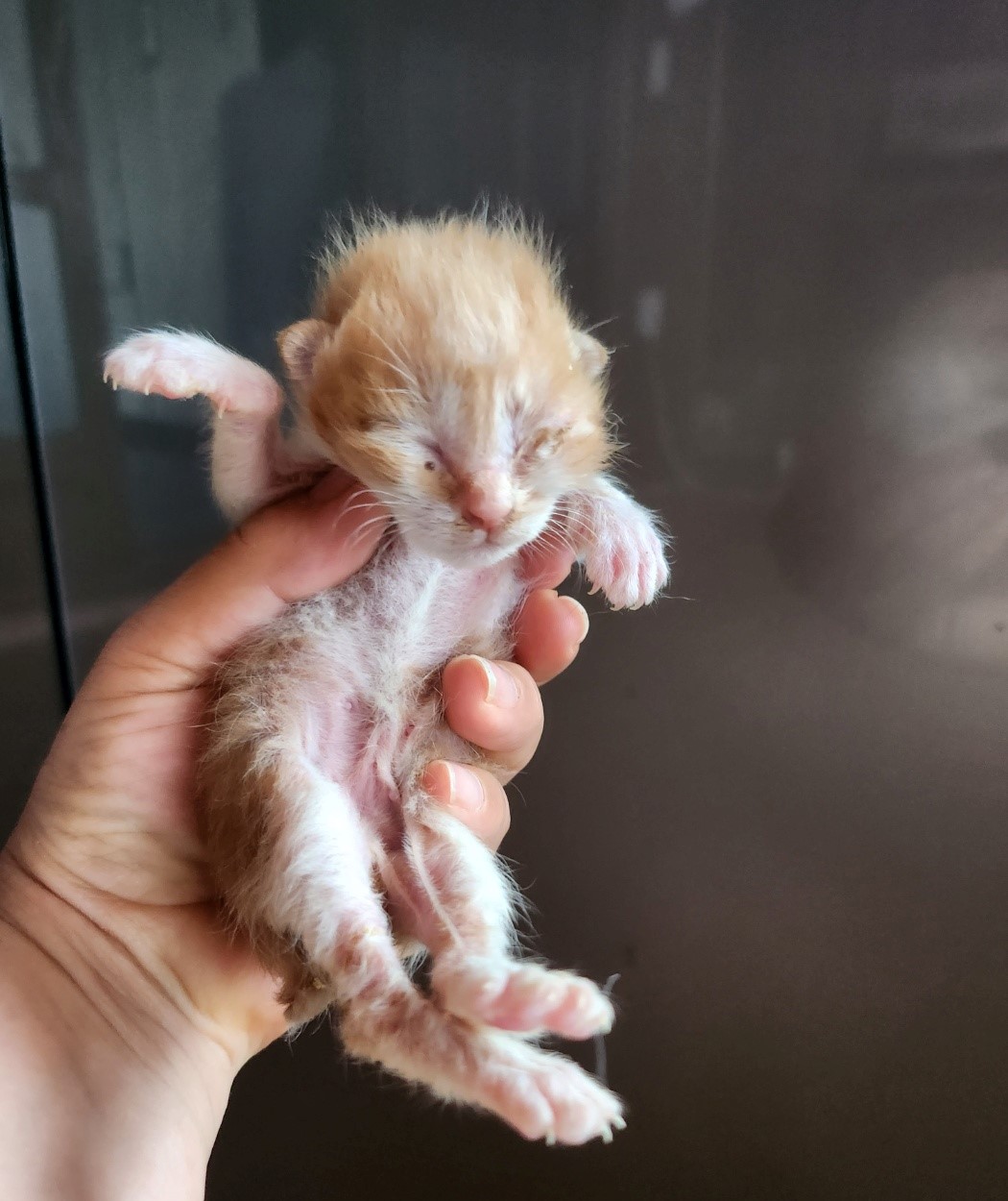 울산유기동물보호센터_431370202300438