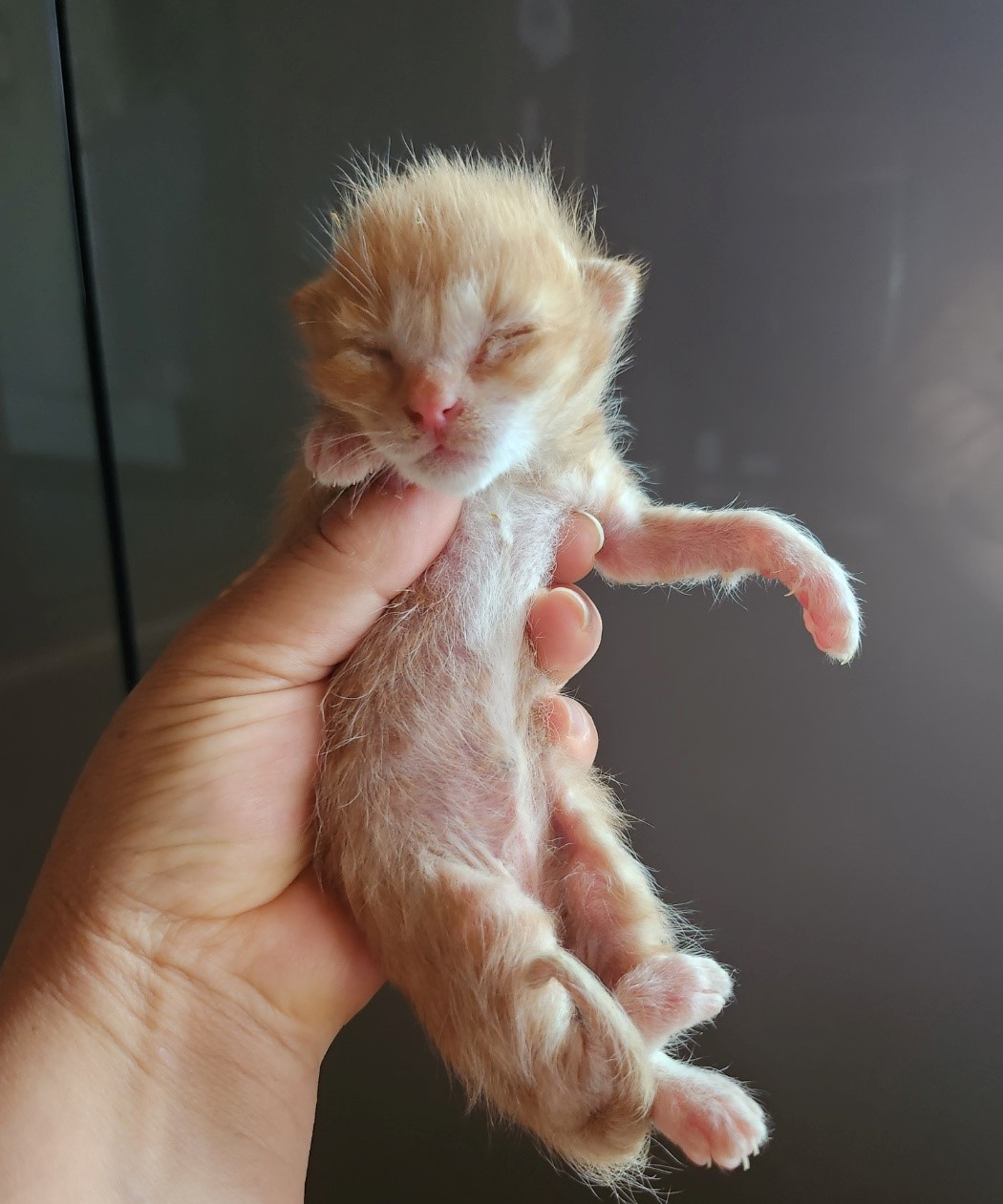 울산유기동물보호센터_431370202300437