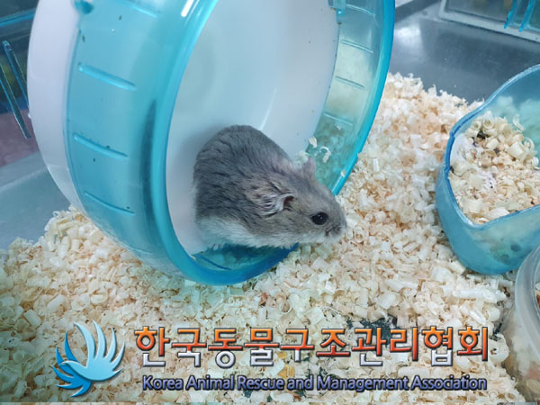 한국동물구조관리협회_411315202300349