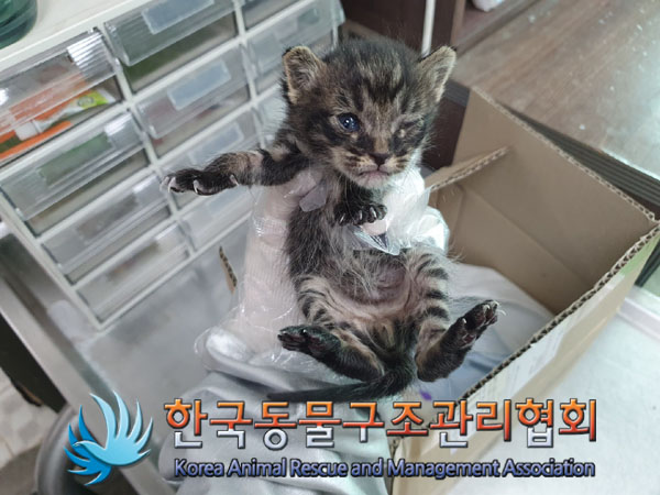 한국동물구조관리협회_411311202300384