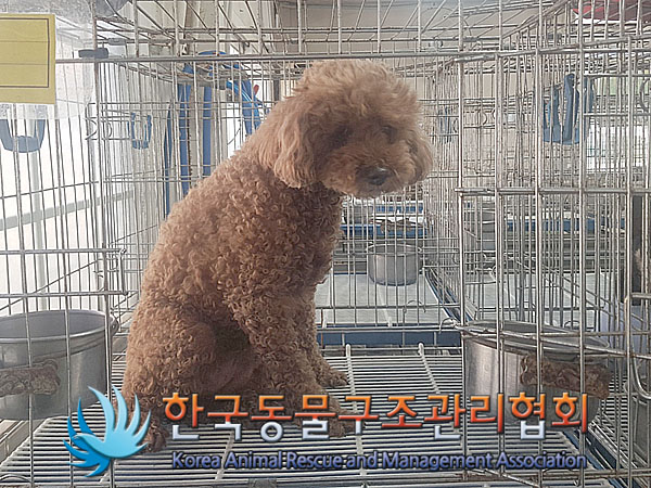 한국동물구조관리협회_411315202300350