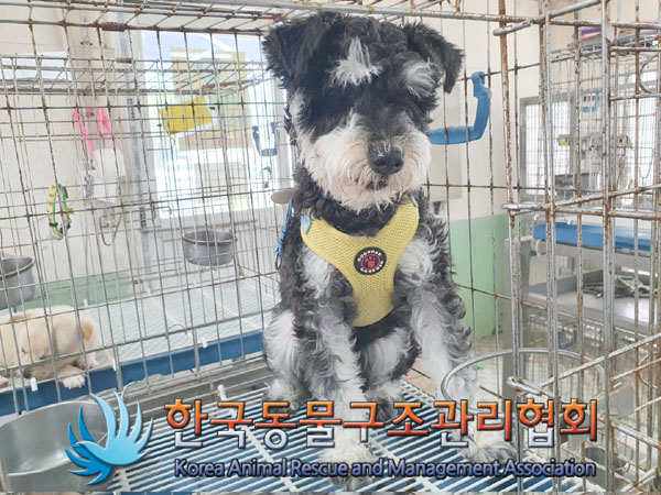 한국동물구조관리협회_441406202300703