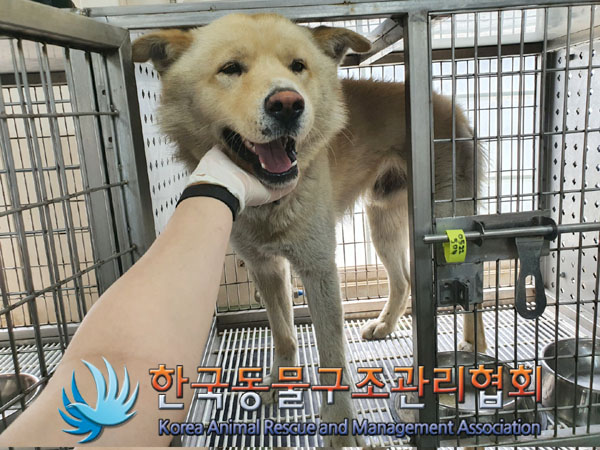 한국동물구조관리협회_441406202300700