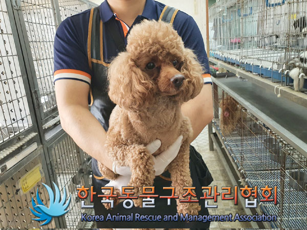한국동물구조관리협회_441392202300085