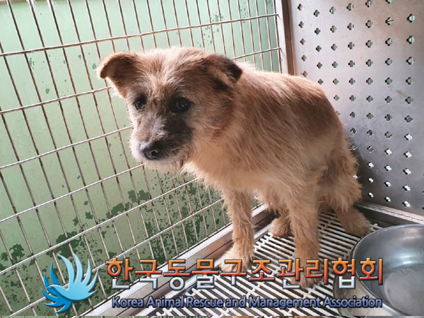 한국동물구조관리협회_441409202300798