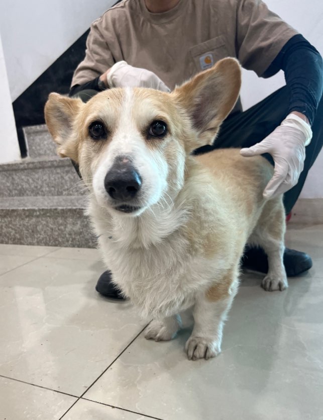 반려동물보호센터_443571202301627