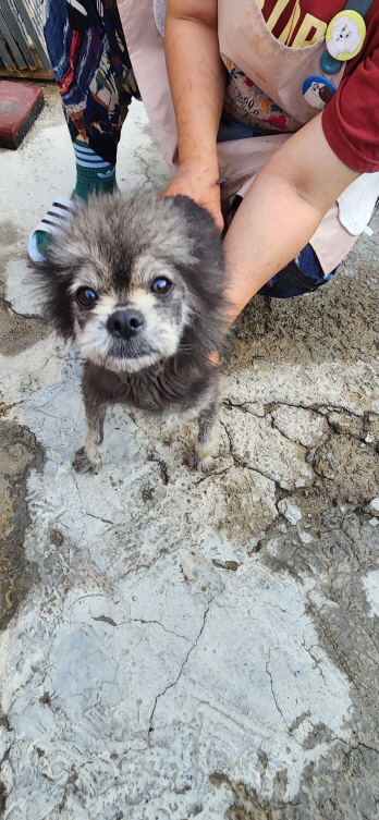 익산유기동물보호소_445468202301124