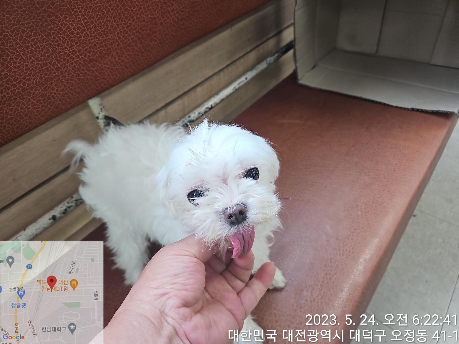 대전동물보호센터_430368202300268