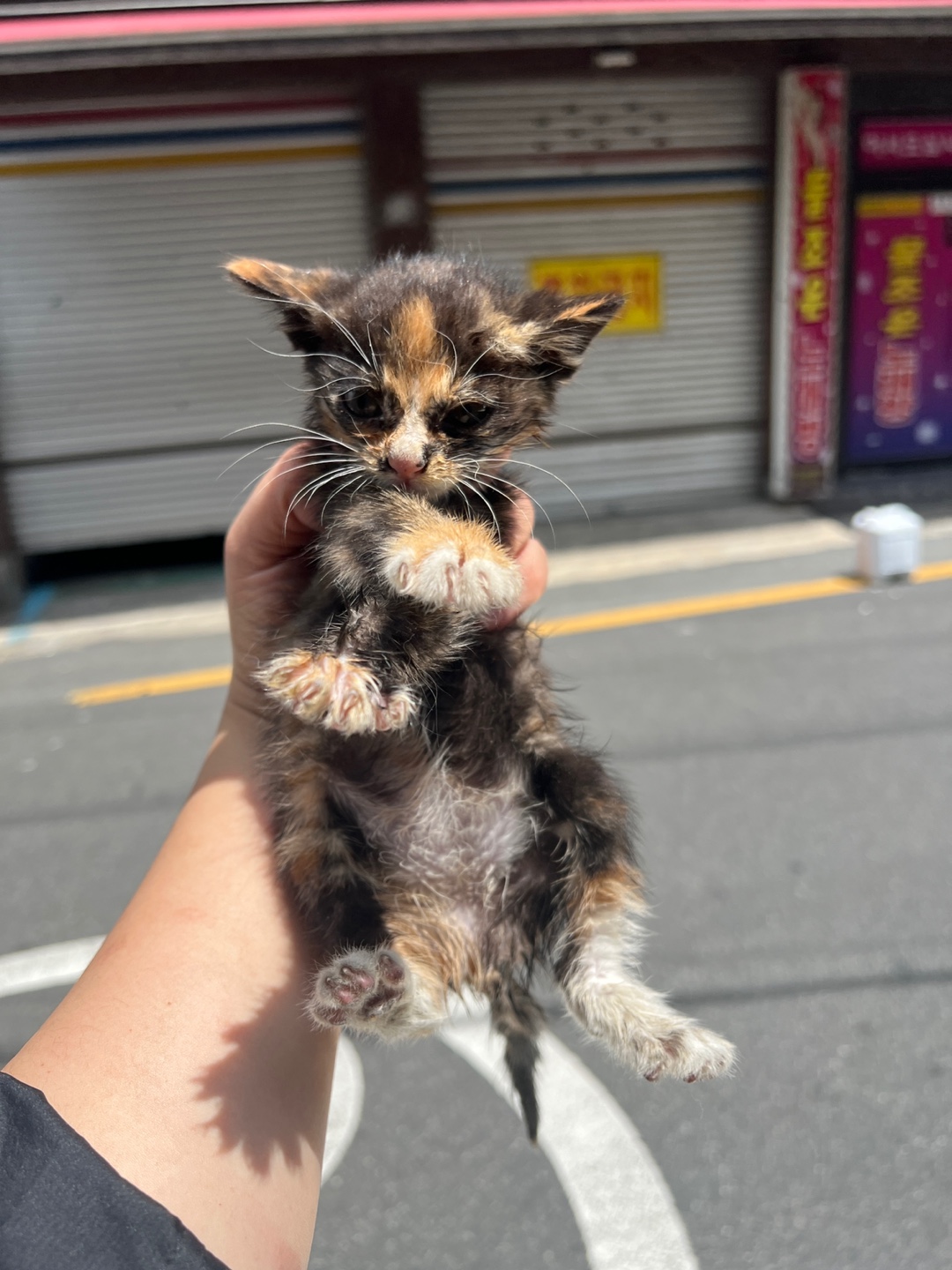 부산동물보호센터_426332202300195