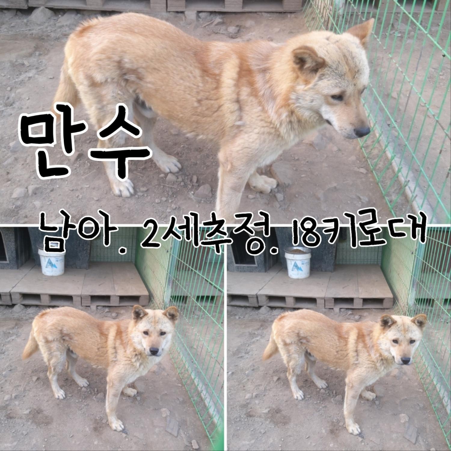 장성군동물보호센터_446498202300234