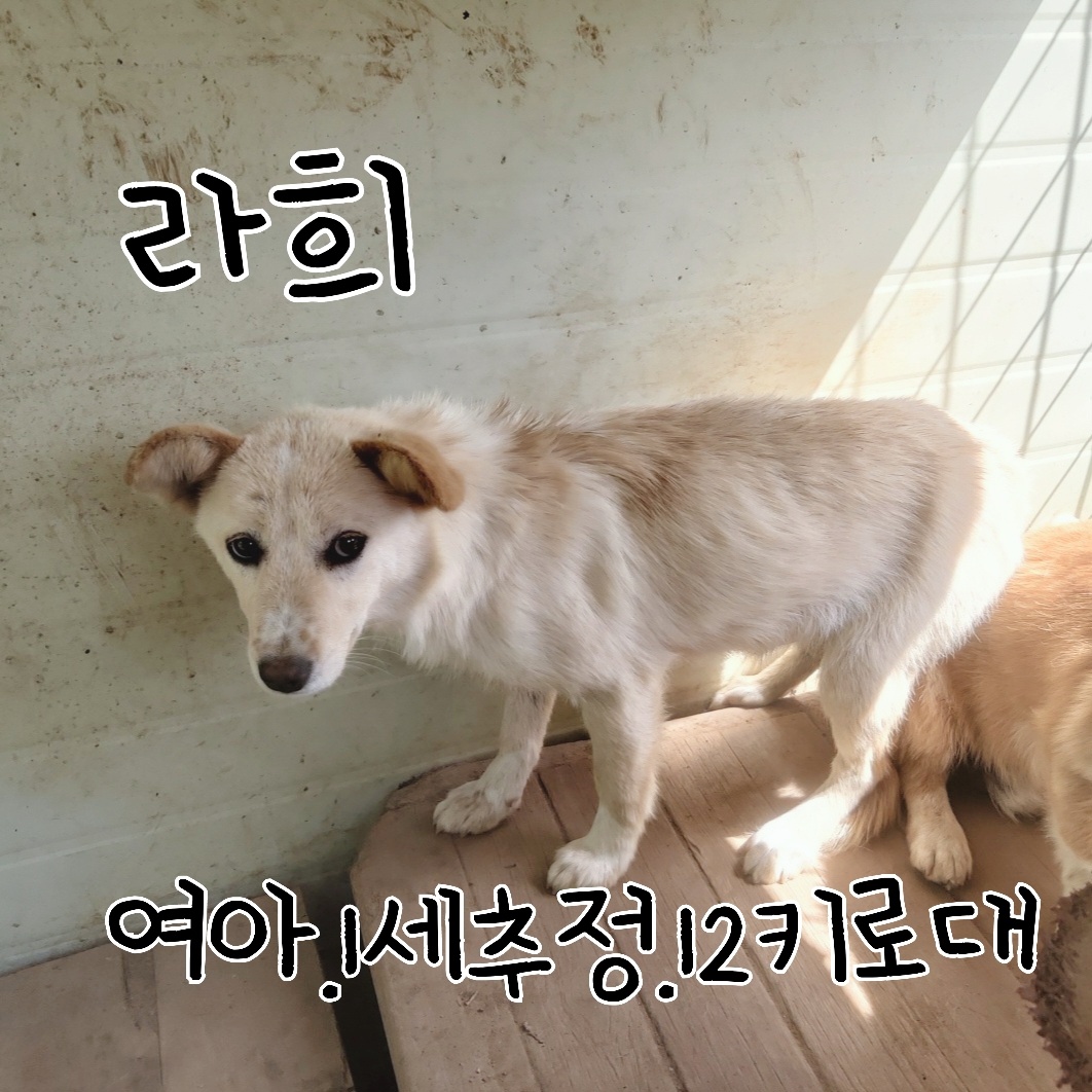 장성군동물보호센터_446498202300231