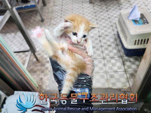 한국동물구조관리협회_441409202300799