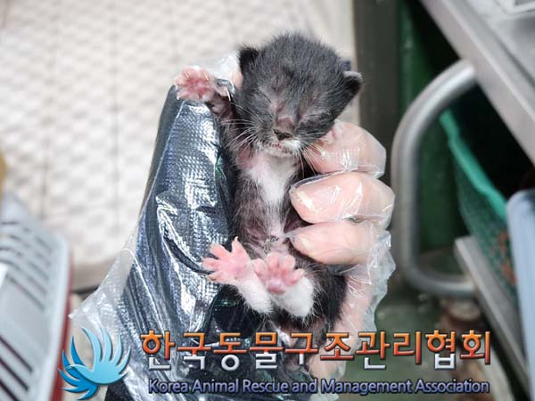한국동물구조관리협회_441560202300643