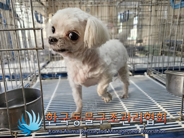한국동물구조관리협회_411309202300199