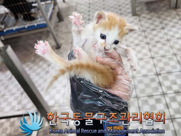한국동물구조관리협회_441409202300800