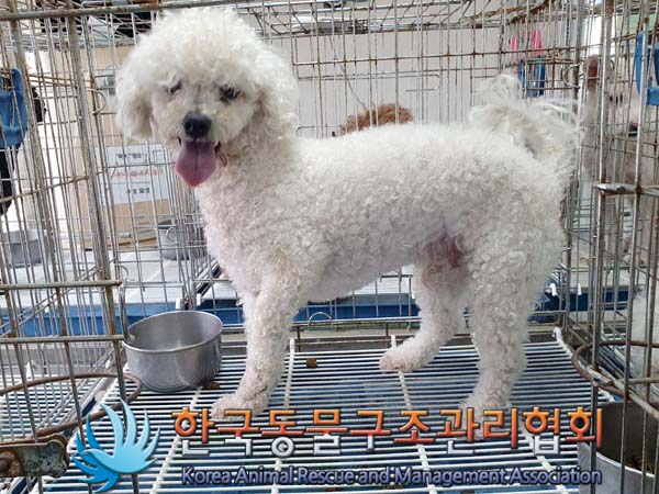 한국동물구조관리협회_441406202300710