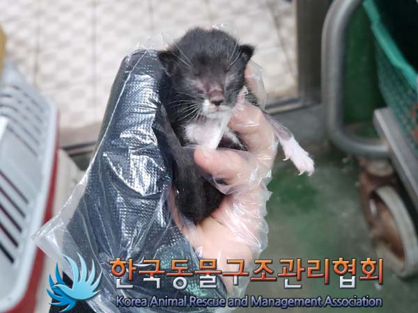한국동물구조관리협회_441560202300642
