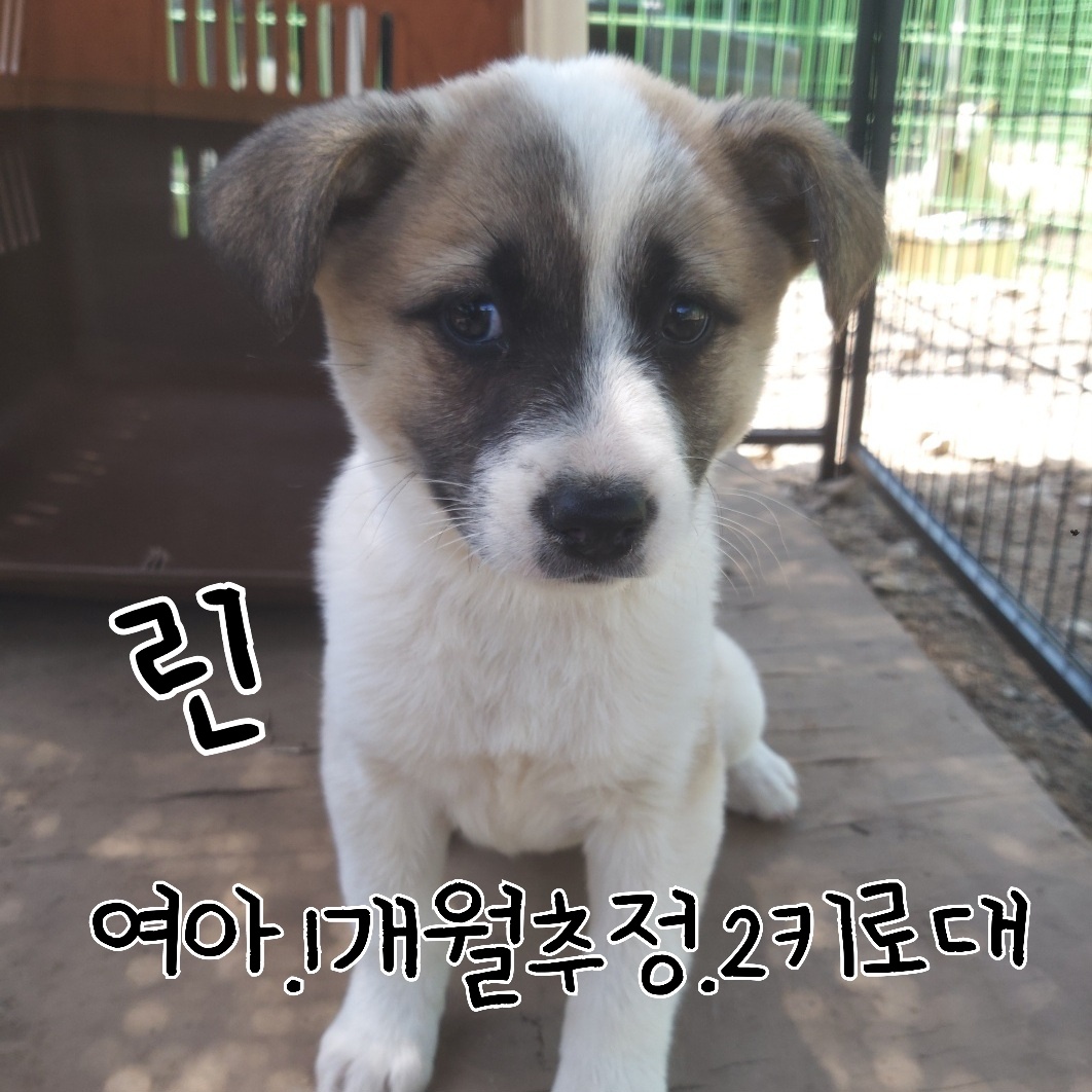 장성군동물보호센터_446498202300228