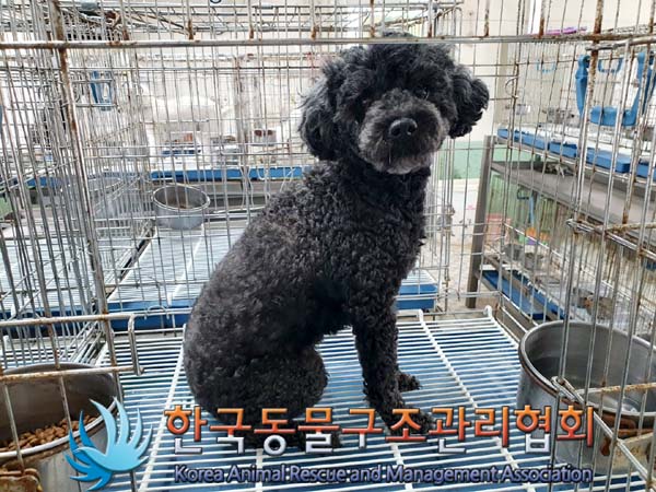 한국동물구조관리협회_411307202300182