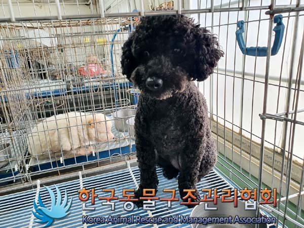한국동물구조관리협회_411318202300234