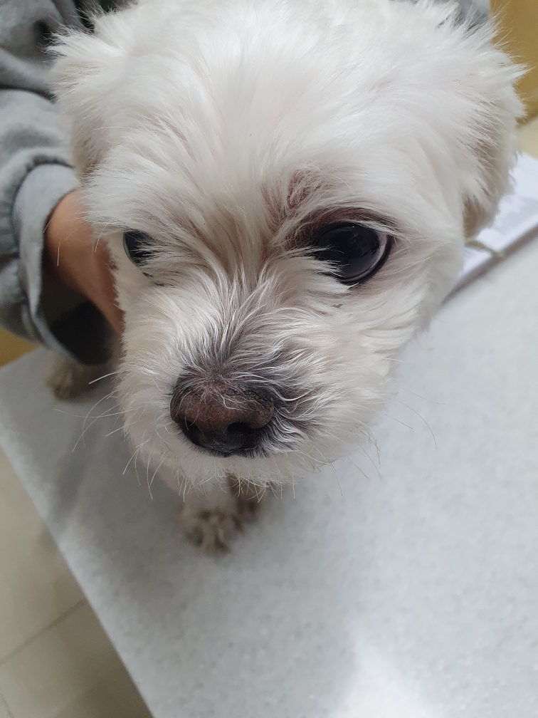 최종주동물병원_443444202300304