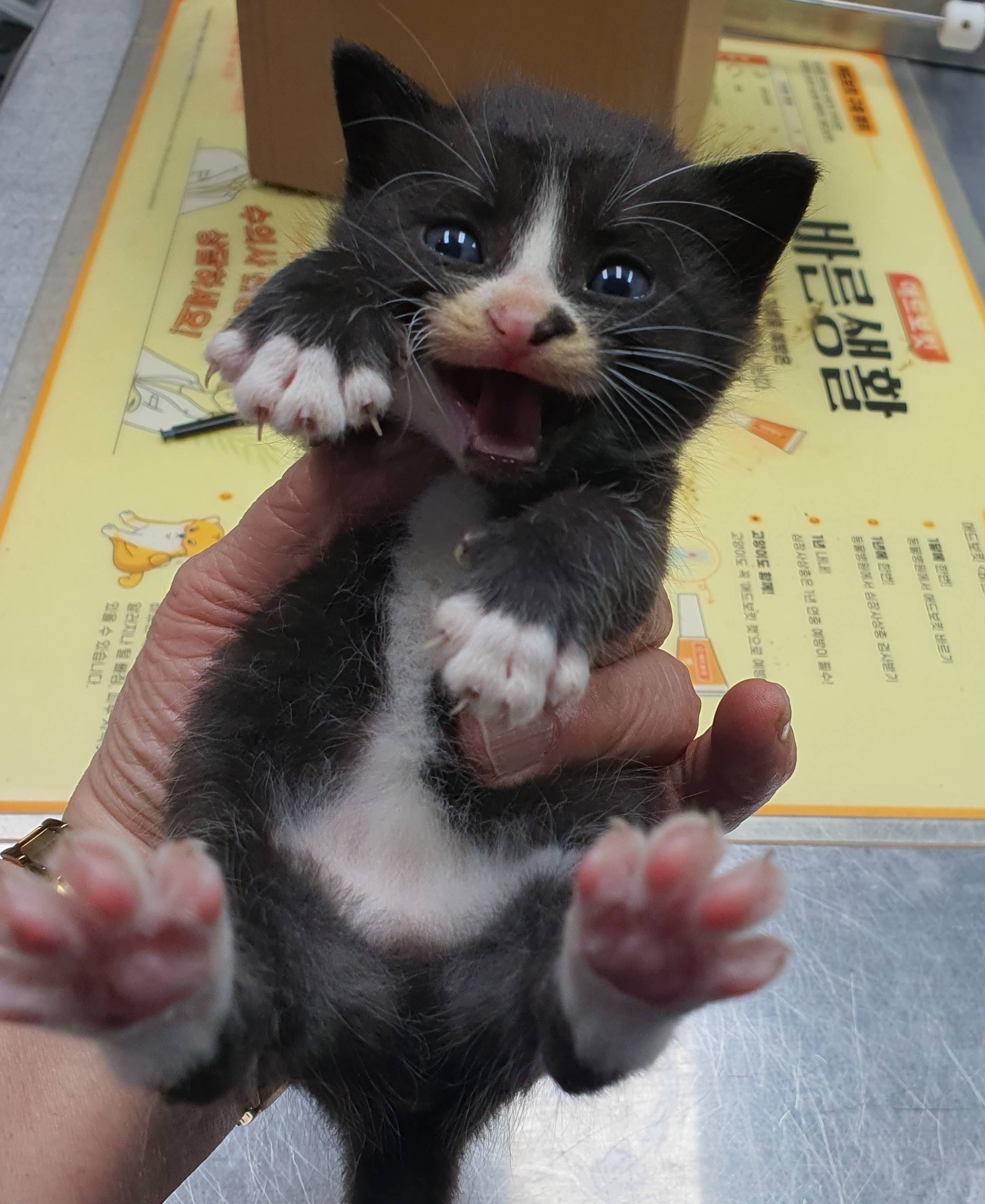 베스트동물병원_428357202300478