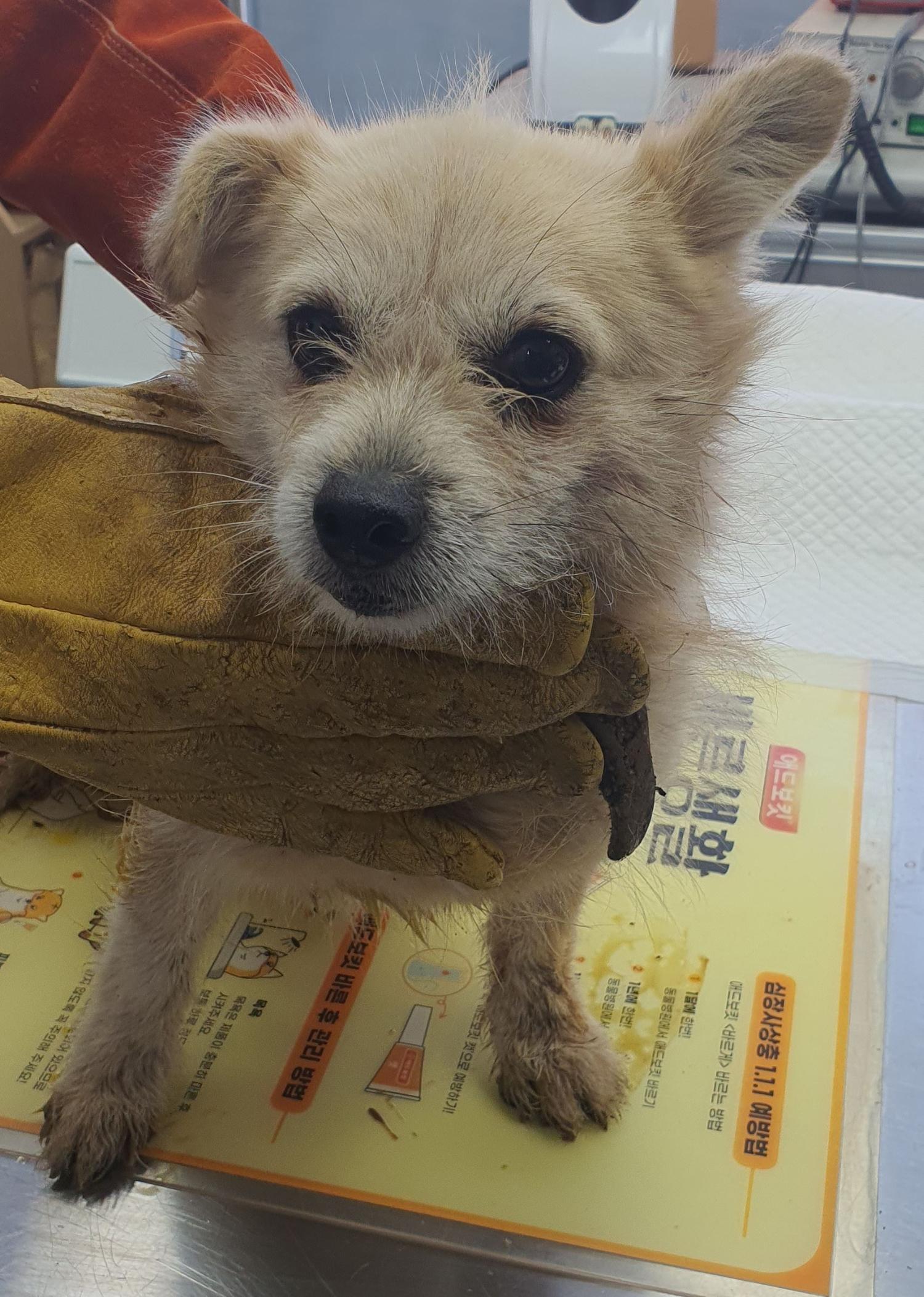 베스트동물병원_428357202300476