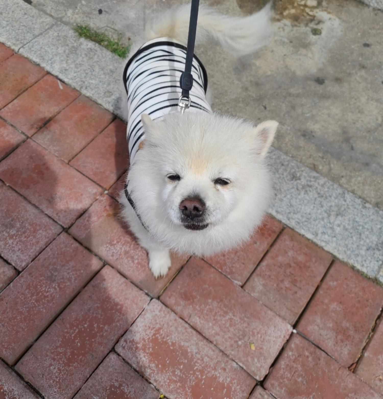 유기동물보호센터_447507202300060