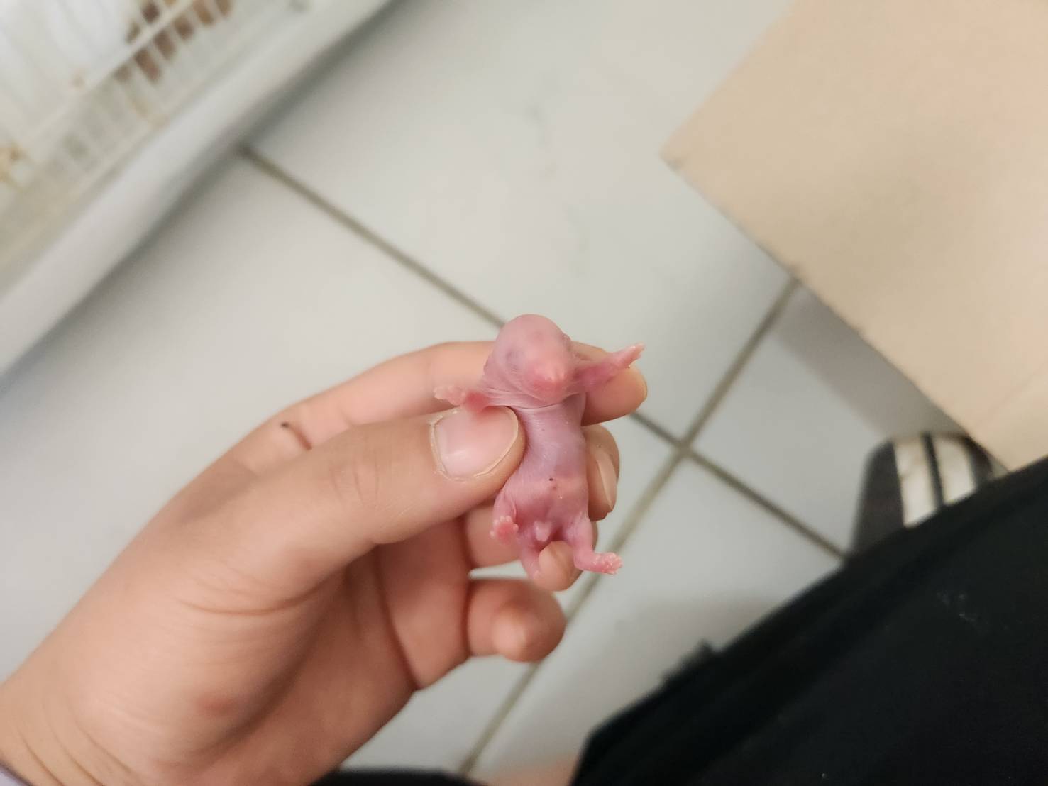 한국야생동물보호협회_441403202300200