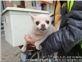대전동물보호센터_430366202300294