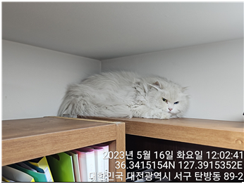 대전동물보호센터_430366202300290