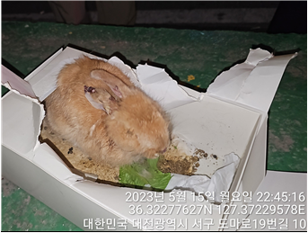 대전동물보호센터_430366202300289