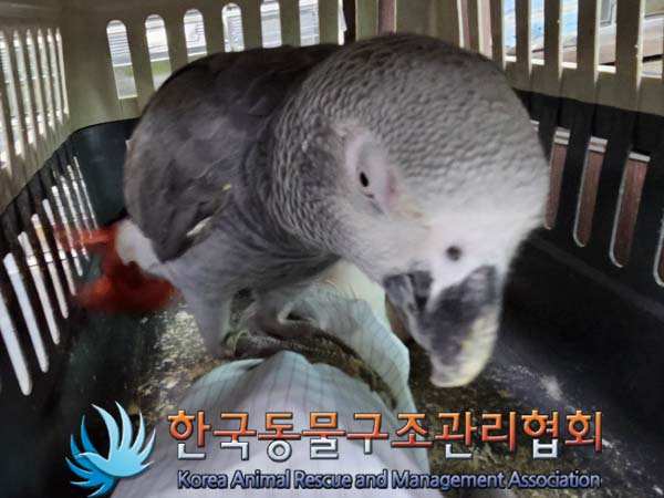 한국동물구조관리협회_411307202300184