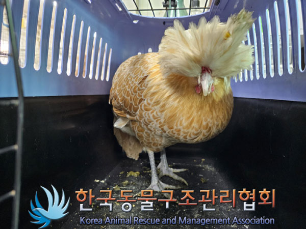 한국동물구조관리협회_411322202300338
