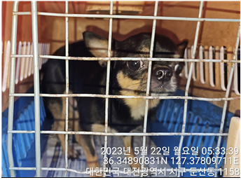 대전동물보호센터_430366202300296