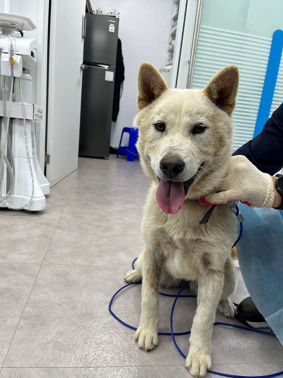 시흥동물누리보호센터_441401202300774