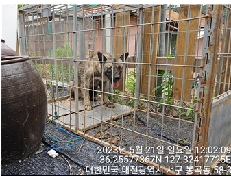대전동물보호센터_430366202300295