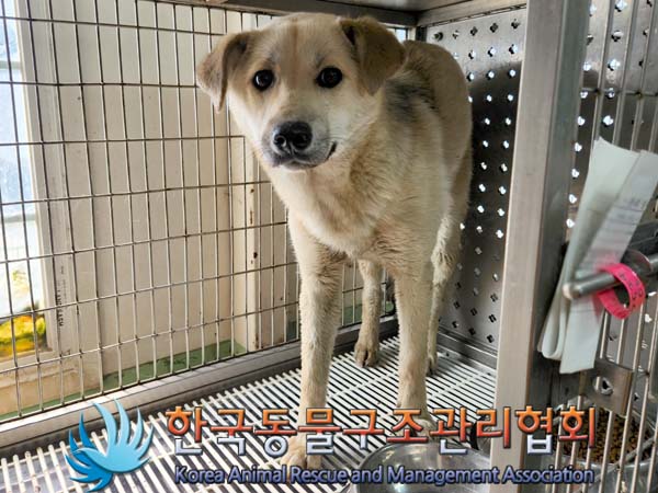 한국동물구조관리협회_441409202300802
