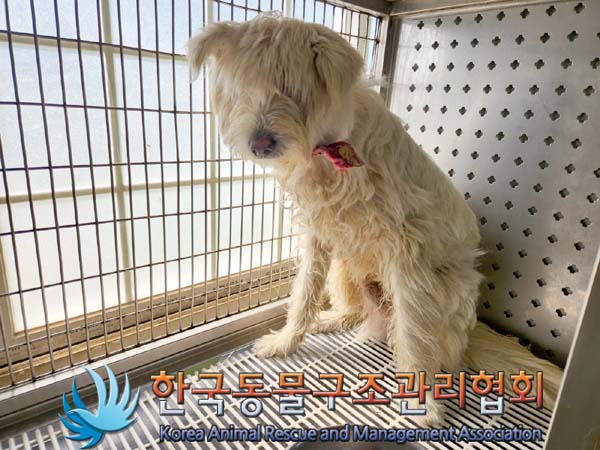 한국동물구조관리협회_441560202300650